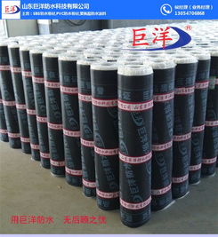 sbs防水卷材品牌 那曲sbs防水卷材 山東巨洋防水