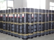 【防水卷材】相冊、圖片- 湖南騰龍科技集團