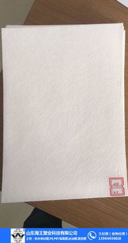 長絲聚酯胎廠家 山東海王 眉山長絲聚酯胎